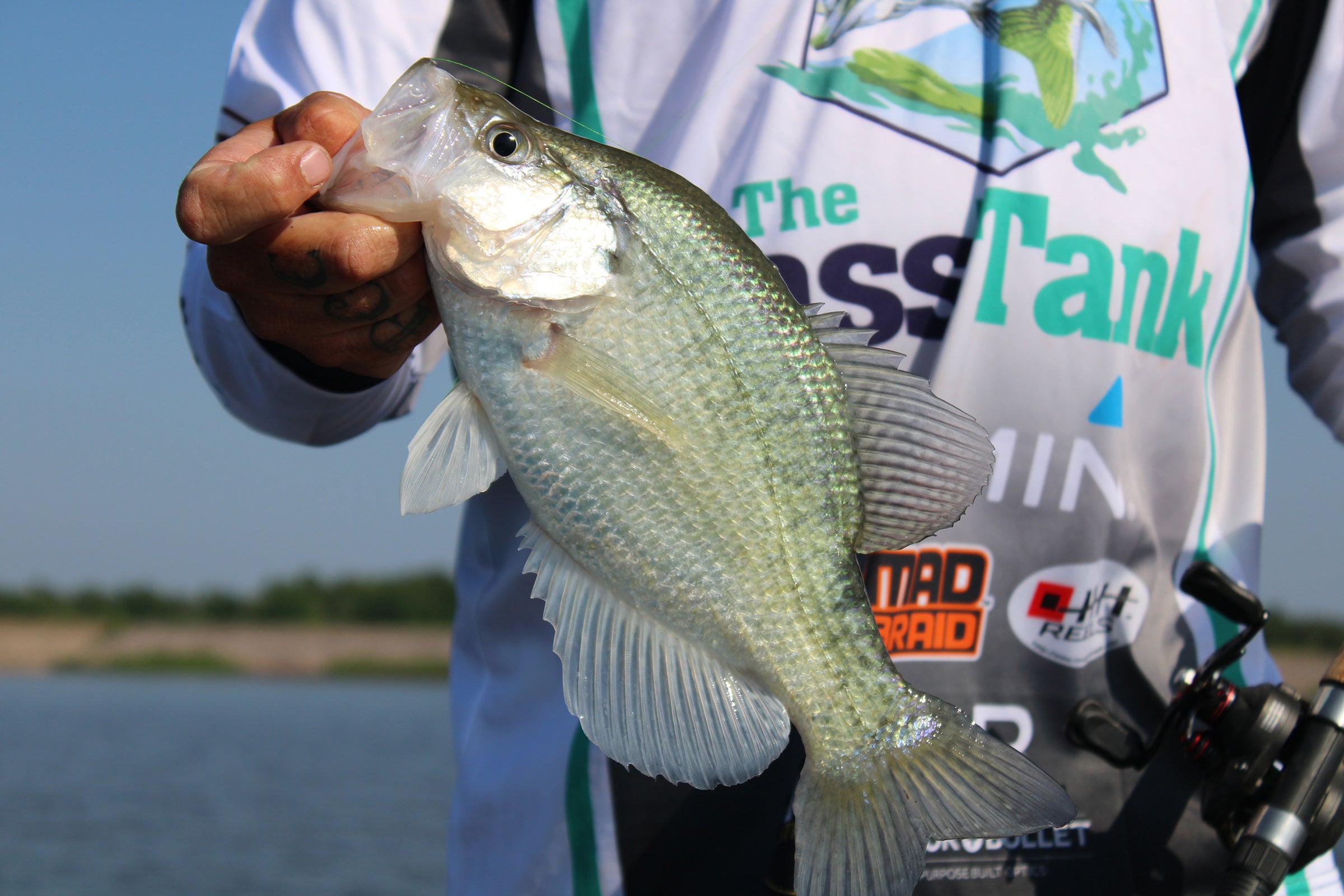 Angler holding a freshly caught crappie fish with a firm grip, wearing a Bass Tank fishing jersey featuring the Mad Braid logo. The high-performance braided fishing line ensures a smooth and strong reeling experience for a successful catch.